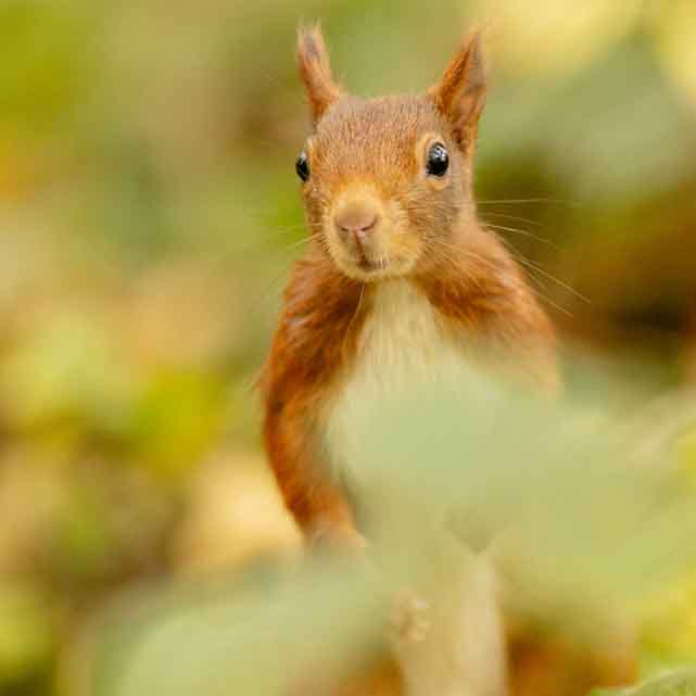 Plants: image 1 sur 4 thumb