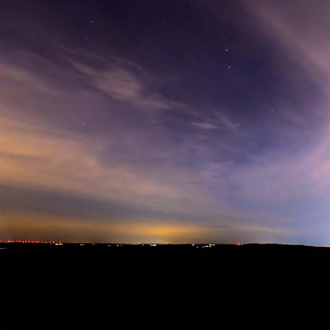 Plants: image 1 sur 4 thumb