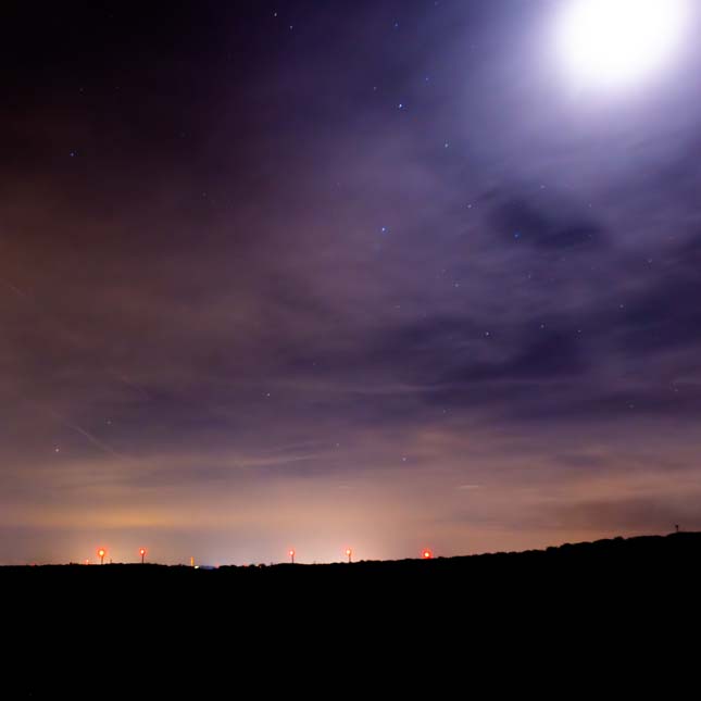 Plants: image 1 sur 4 thumb